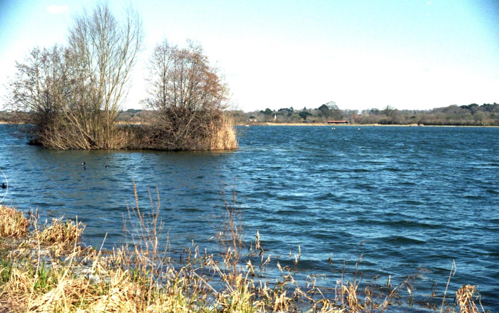 Longham Longham Lakes – S.H.O.U.T.